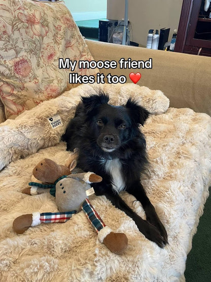 FUNNY FUZZY Pet Fluffy Fuzzy Couch Cover, Calming Washable Dog Bed Sofa Protector Pets Mat for Small Medium Dogs and Cats (Coffee,33.45 × 28.35 × 5.51 In)6