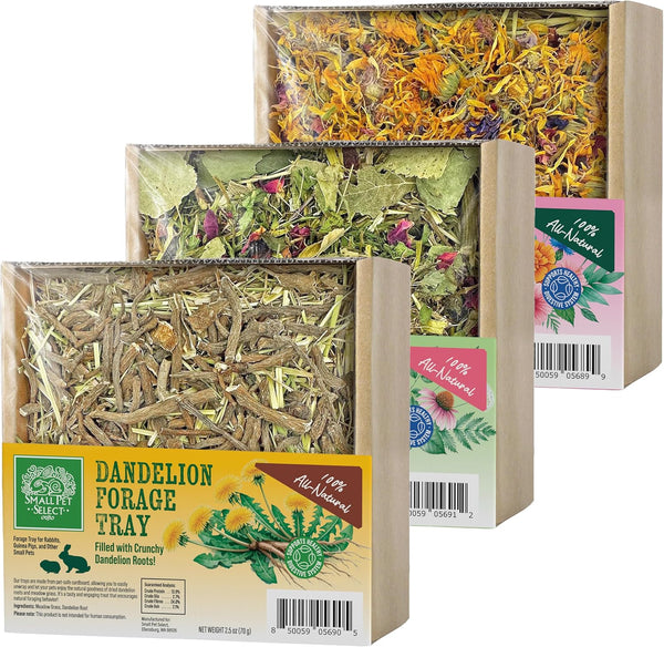 Small Pet Select Forage Tray Bundle, Rabbits & Guinea Pigs, 3-Pack | Dandelion, Flower & Herb Mix, 2.5 Oz Each, Natural Foraging Enrichment for Rabbits, Guinea Pigs & Small Pets1