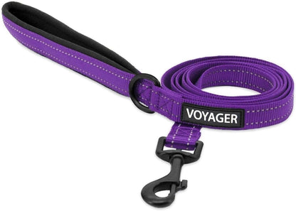 Best Pet Supplies Voyager Nylon Dog Leash - Fuchsia, Small | 5Ft in Length, 5/8" in Width, Reflective, Soft Neoprene Handle, Heavy Duty Metal Clips for Running, Walking & Training19