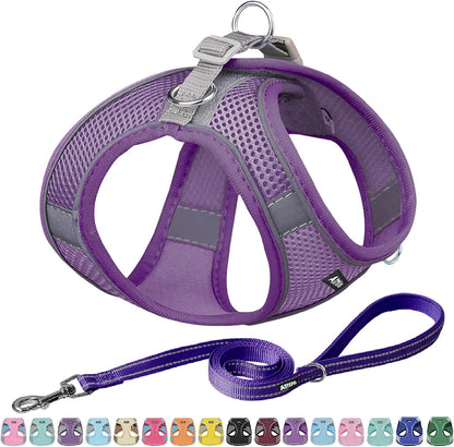 AIITLE No Pull Dog Harness and Leash Set, Step in Adjustable Dog Harness with Padded Vest for All Weather, Dog Leash with Soft Padded Handle, Easy to Put on Small and Medium Dogs Beige S21