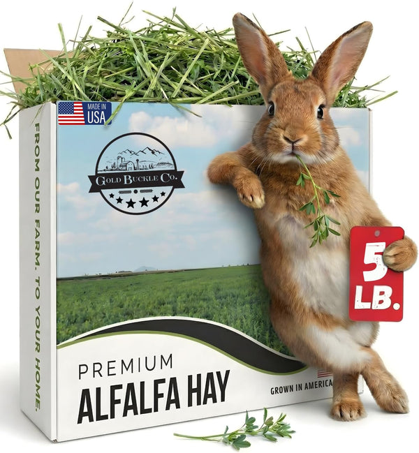 Premium Alfalfa Hay for Rabbits & Guinea Pigs - All Natural, USA Grown, 9Lb | Hay for Guinea Pigs, Chinchillas, Hamsters & Ferrets - Farm Fresh, Rich in Protein & Fiber, Fresh Dried, Hand-Selected9