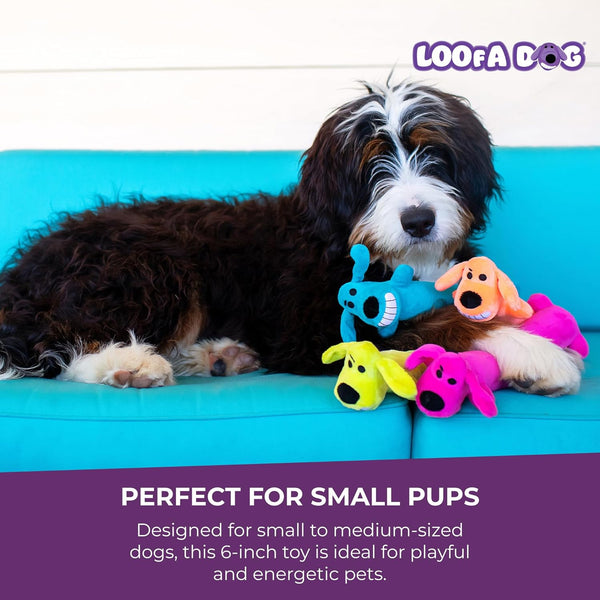 Multipet Original Loofa Dog Plush Toy - Squeaky Toy for All Dogs - Extra Soft Plush - Stuffed Animal Dog Toys for Playing (1 Count, 6”, Random Color Surprise)6