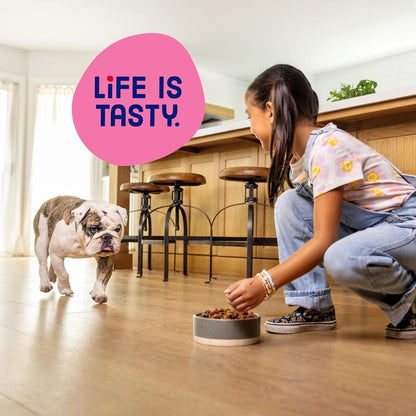 Kibbles 'N Bits Bistro Mini Bits Small Breed Dry Dog Food, Oven Roasted Beef, Spring Vegetable & Apple Flavors for Adult Dogs, 16 Lb. Bag6