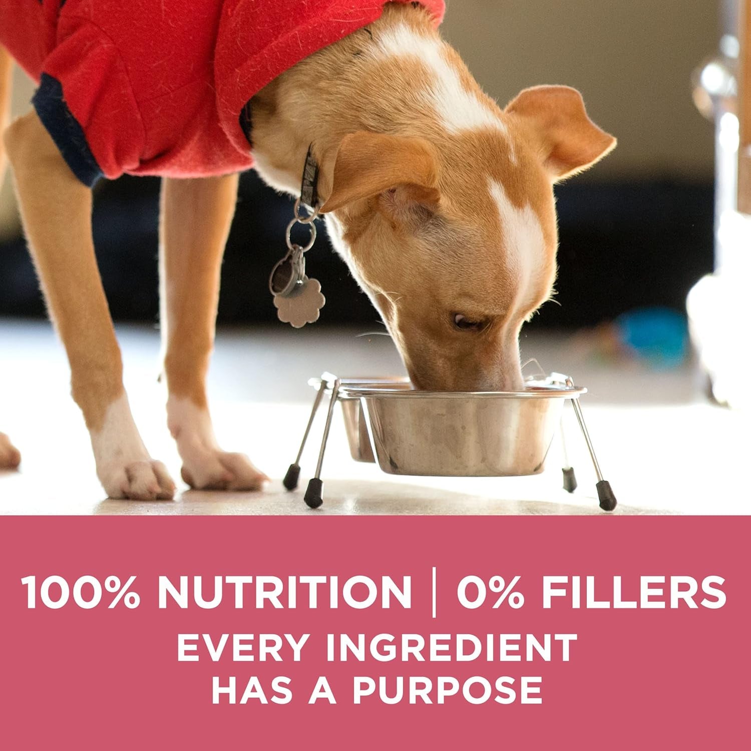purina-one-natural-sensitive-stomach-dry-dog-food-plus-skin-coat-formula-31-1-lb-bag