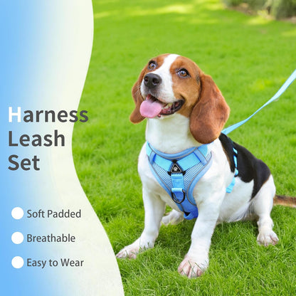 No Pull Dog Harness with Leash Set for Small Sized Dog, Reflective Adjustable No Choke Front Clip Cat Vest Harness with Breathable Mesh, Comfortable Soft Padded Pet Vest, Blue M2
