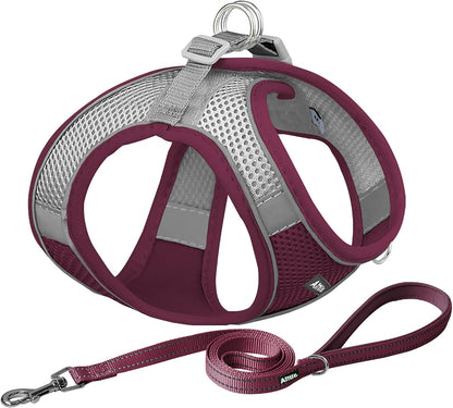 AIITLE No Pull Dog Harness and Leash Set, Step in Adjustable Dog Harness with Padded Vest for All Weather, Dog Leash with Soft Padded Handle, Easy to Put on Small and Medium Dogs Beige S22
