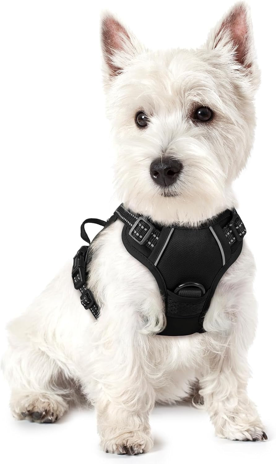 rabbitgoo-dog-harness-no-pull-for-large-dogs-with-2-leash-clips-pet-vest-no-choke-with-handle-adjustable-soft-padded-reflective-easy-control-for-walking-black-large