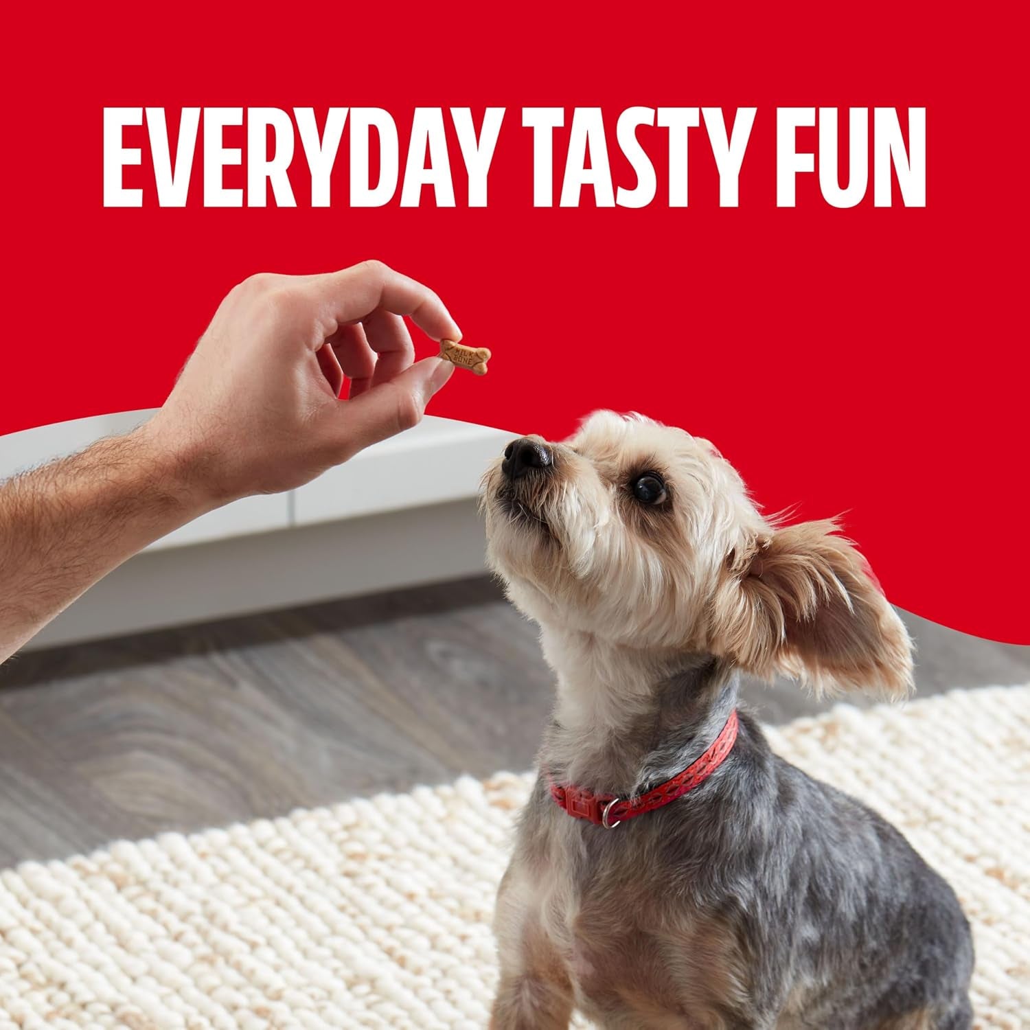 milk-bone-soft-chewy-minis-dog-training-treats-18-oz-canister-made-with-real-chicken-breast-small-dog-treats-for-training-and-rewarding-18-protein-fortified-with-vitamins-and-minerals