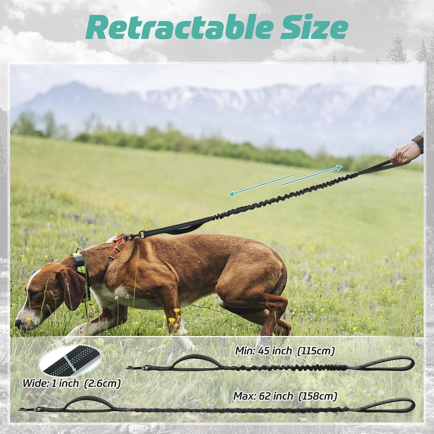 rabbitgoo-tactical-dog-leash-heavy-duty-training-bungee-lead-military-leash-with-2-padded-control-handles-for-medium-large-dogs-no-pull-for-shock-absorption-reflective-black-5-2ft
