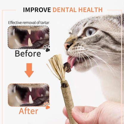3 Pack Silvervine Sticks Cat Toys, 100% Natural Kitten Teething Chew Toys, Catnip Toys for Kittens & Cats, Cat Approved Gift, Protects Furniture3