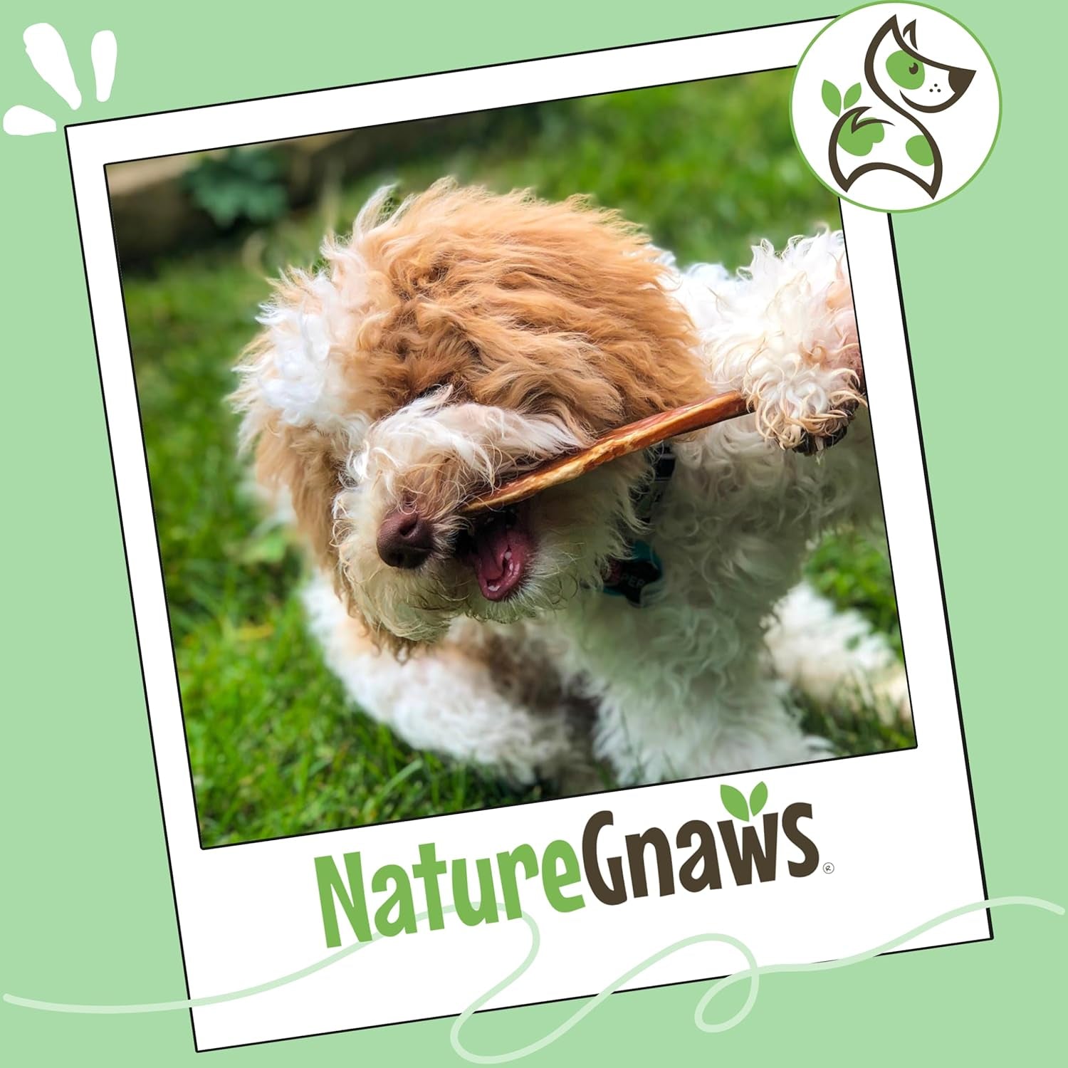 nature-gnaws-extra-thin-bully-sticks-for-small-dogs-5-6-10-count-long-lasting-for-light-chewers-and-puppies-natural-beef-dog-chew-bones
