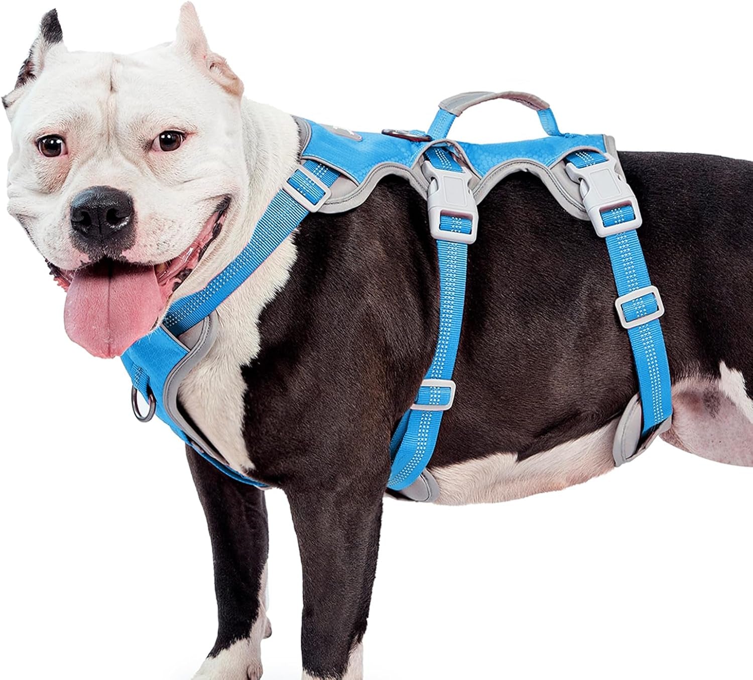 huntboo-escape-proof-dog-harness-escape-artist-harness-reflective-harness-with-padded-handle-breathable-durable-adjustable-vest-for-medium-dogs-walking-training-and-running-gear-blue-m