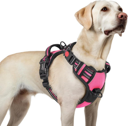 Rabbitgoo Dog Harness Medium Sized, Updated Easy on & off with 3 Buckles | No Pull No Choke, Walking with 2 Clips and Handle, Adjustable Soft Reflective, Blue, Medium79