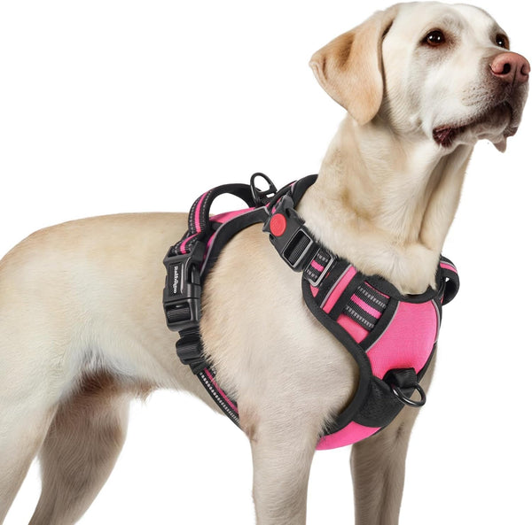 Rabbitgoo Dog Harness Medium Sized, Updated Easy on & off with 3 Buckles | No Pull No Choke, Walking with 2 Clips and Handle, Adjustable Soft Reflective, Blue, Medium79