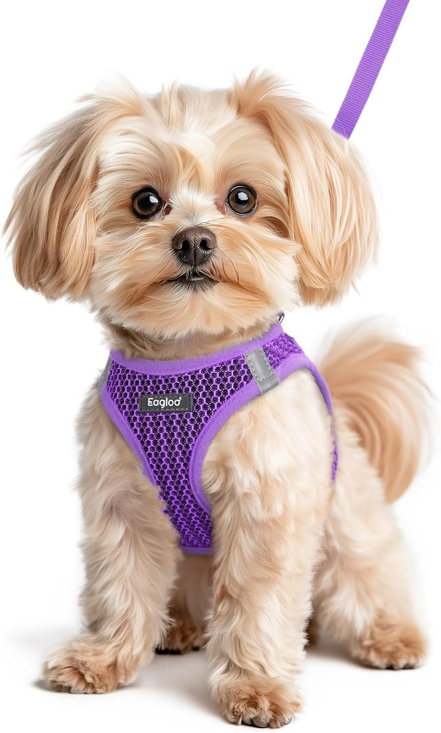 eagloo-small-dog-harness-and-leash-set-step-in-small-sized-puppy-pet-vest-light-soft-breathable-air-mesh-easy-on-and-off-with-hook-loop-reflective-for-safe-walking-pink-s