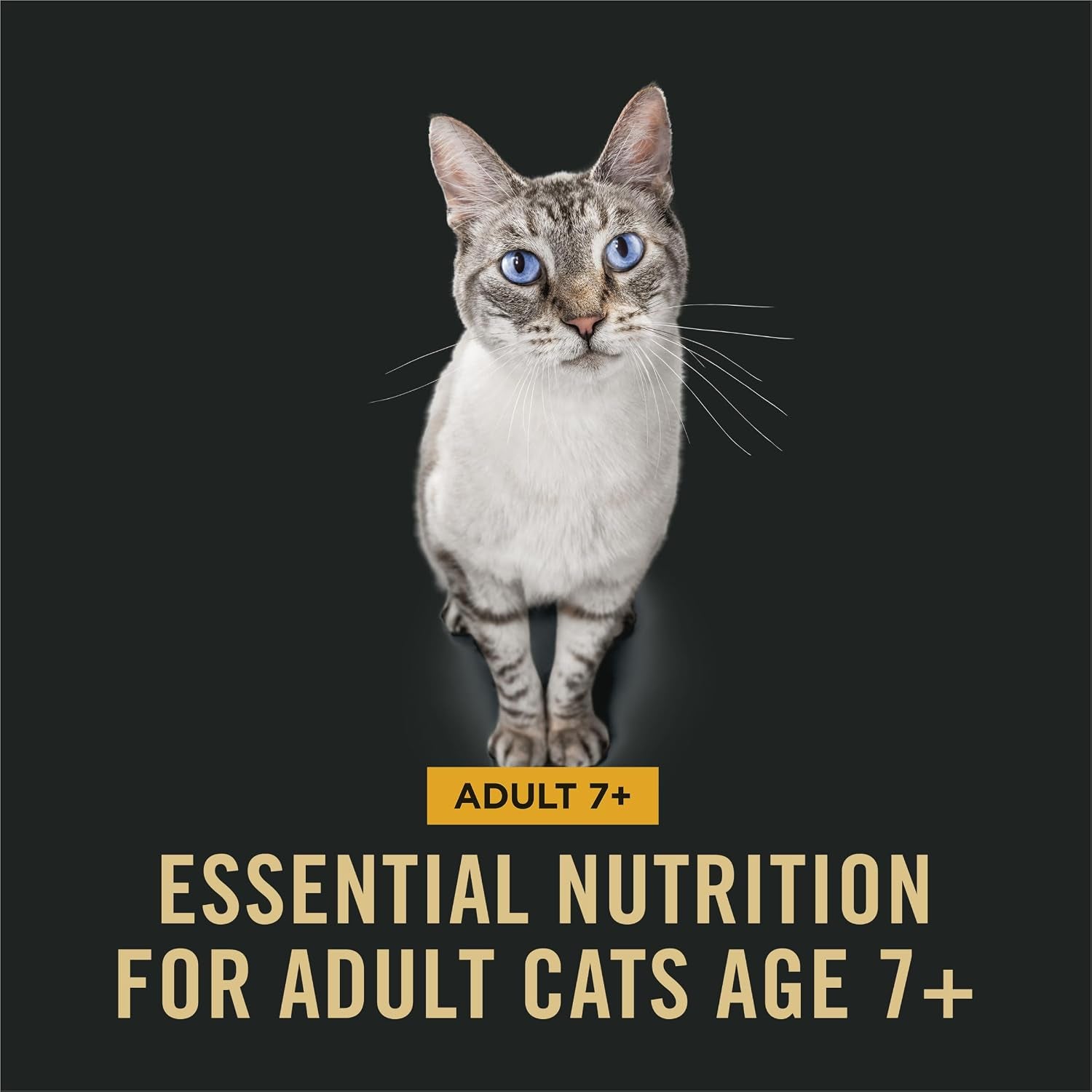 purina-pro-plan-senior-cat-food-dry-7-complete-essentials-chicken-and-rice-formula-3-5-lb-bag