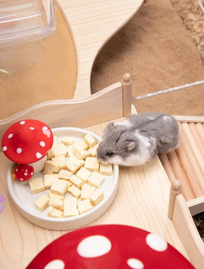Niteangel Hamster Snack & Treats Toy - Freeze-Dried Tofu No Additive | Delivers Essential Vitamins & Minerals- Small Animal Natural Treat for Dwarf Syrian Hamsters Gerbils Mice Degus or Small Pets5