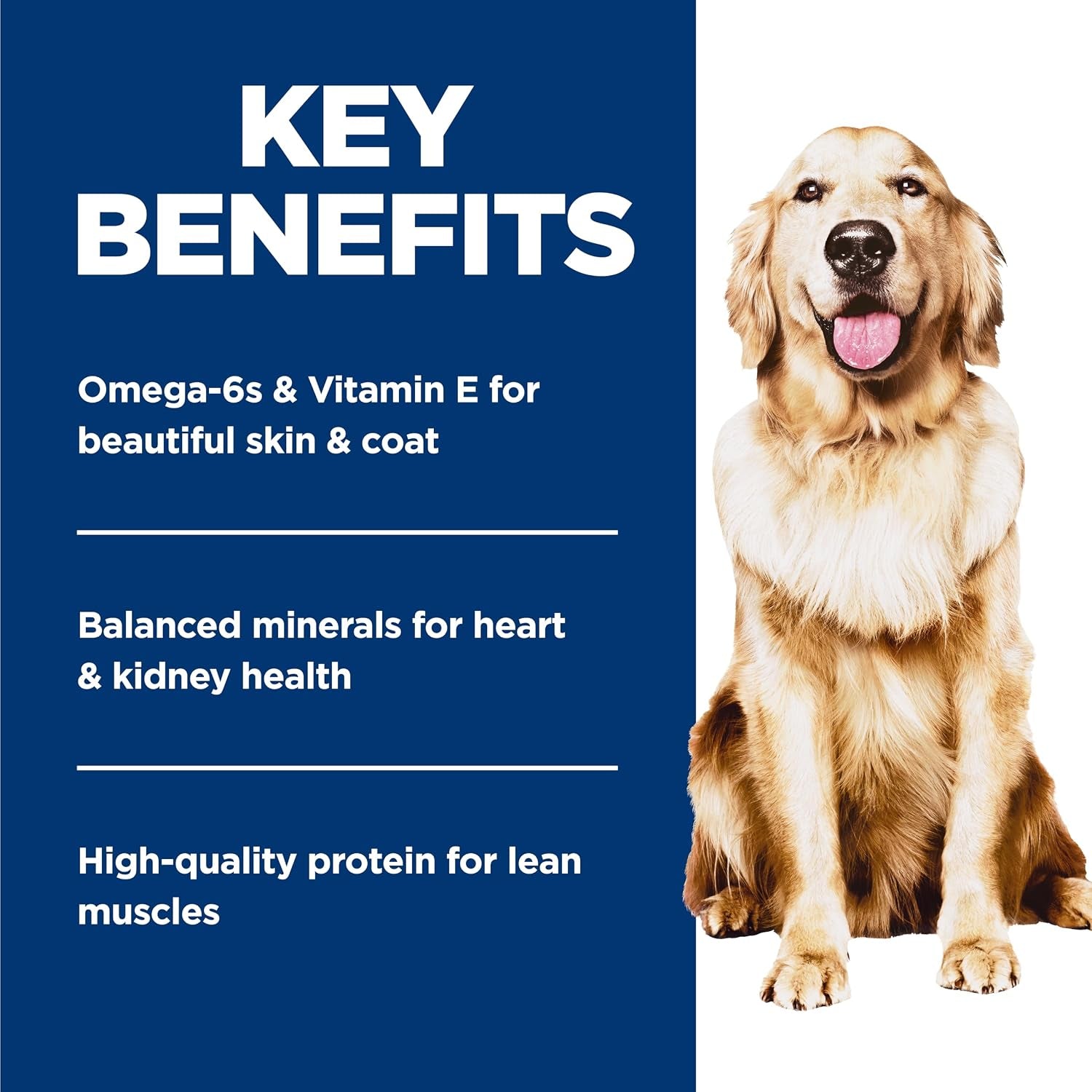 hills-science-diet-adult-perfect-weight-wet-dog-food-1-veterinarian-recommended-vegetable-chicken-stew-12-5-oz-cans-12-pack