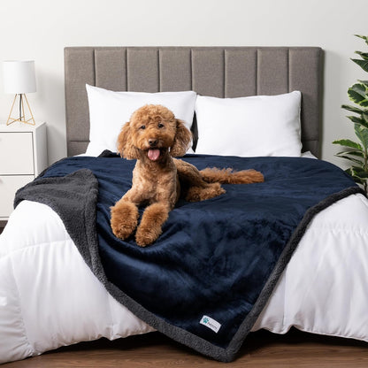 Petami Waterproof Dog Blanket for Couch, Extra Large 80X60, Pee Proof Sherpa Fleece Reversible Pet Throw, Furniture Protector for Bed Sofa Crate Kennel, Soft Washable Cover for Dog Cat, Grey Sherpa21