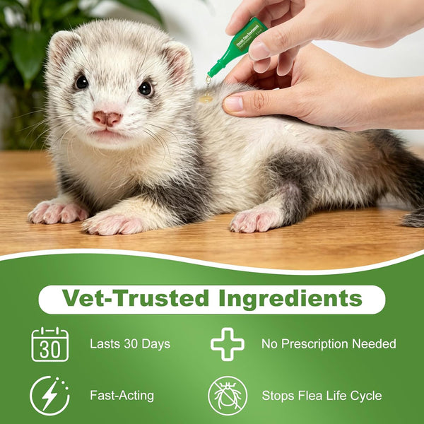 Ferret Flea Prevention, 4-Month Supply (2.5 Ml High-Volume Tube) for Multi-Ferret Households, 1 Lb+ | NDC Non-Nitenpyram Code3