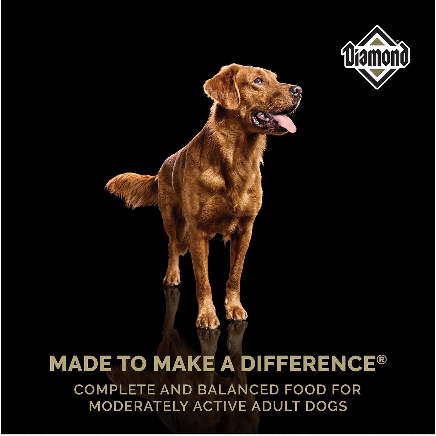 diamond-maintenance-adult-dry-dog-food-chicken-protein-40lb-for-moderately-active-dogs-omega-fatty-acids-help-support-healthy-skin-shiny-coat-guaranteed-probiotics
