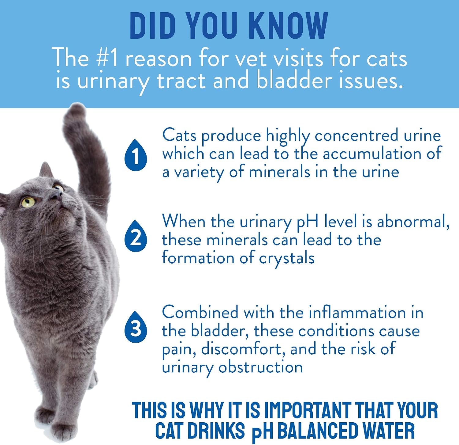 catwater-by-vetwater-ph-balanced-and-mineral-free-cat-water-clinically-proven-urinary-formula-helps-prevent-cat-urinary-issues-flutd-135-2-oz-2-pk-clear-cw60101-2