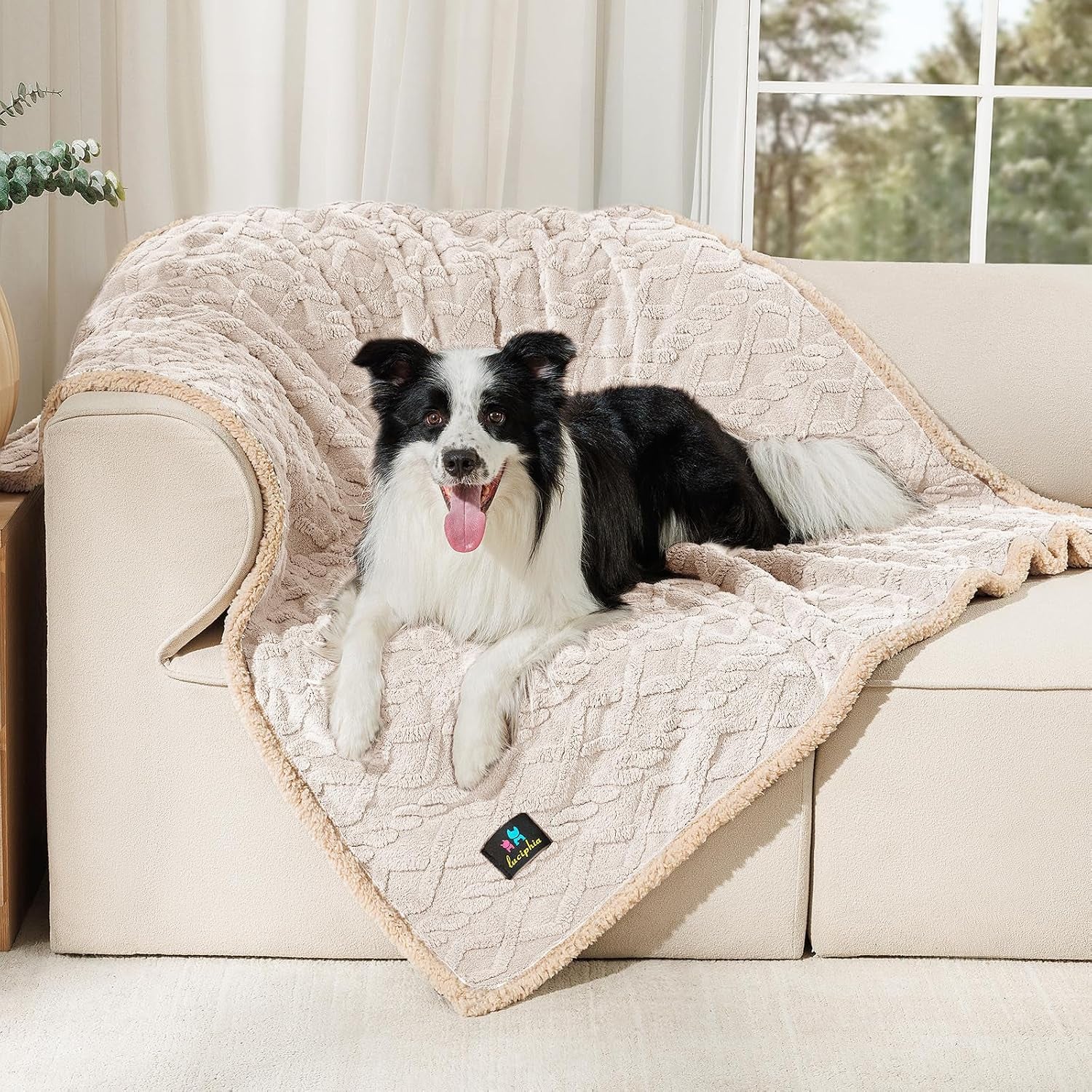 luciphia-waterproof-pet-blanket-liquid-pee-proof-dog-blankets-for-sofa-bed-couch-reversible-sherpa-fleece-furniture-protector-cover-for-small-medium-large-dogs-cats-khaki-small-40-x-28