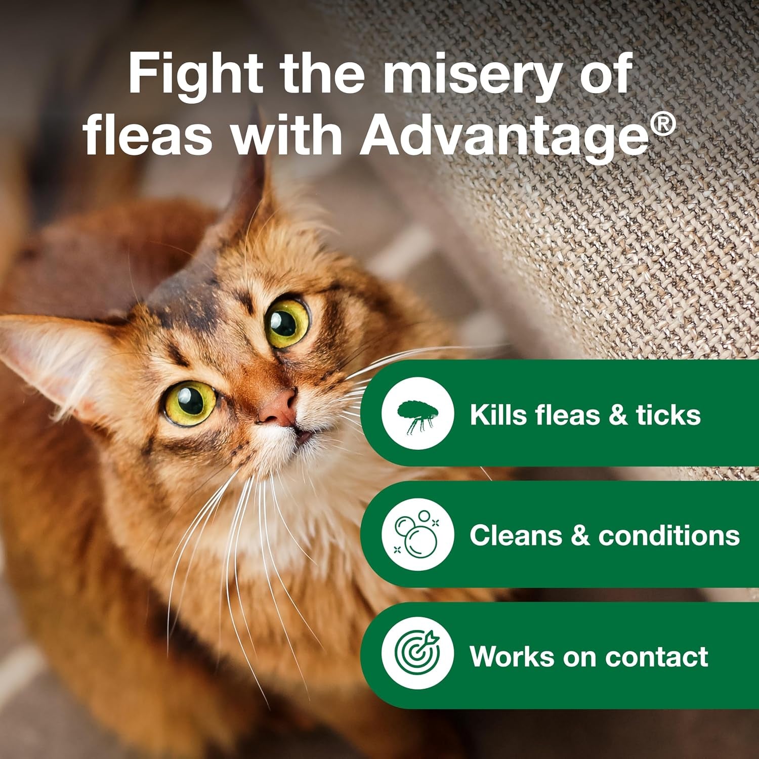 advantage-cat-flea-tick-shampoo-for-kittens-adult-cats-kills-fleas-ticks-8-oz