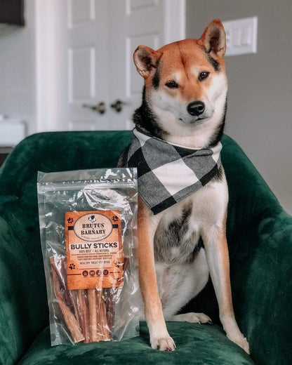 BRUTUS & BARNABY Bully Sticks for Small, Medium & Large Dogs, 6 Inch, 12 Ct | Long Lasting Thick Grass Fed Beef Pizzle Chew Treats, Odor Free and Rawhide Free, Great for Aggressive Chewers9
