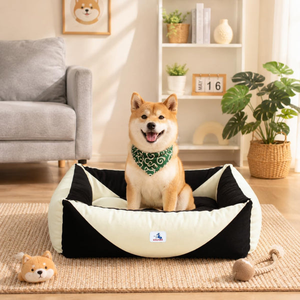 Cotton Canvas Dog Bed (290Gsm Thick), 24"X20"X8" Durable Waterproof | Cute Dog Beds for Small Dogs, Orthopedic Bed with Washable Removable Cover, Anti-Chewing Pet Bed Anti-Slip Black&White14