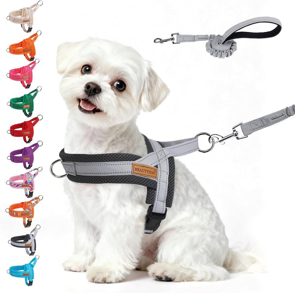 BEAUTYZOO Dog Harness No Pull, Quick Fit Dog Harness and Leash Set, Escape Proof Vest Harness with Soft Handle, Reflective Breathable Mesh Padding Harness for Medium Size Dog Training Walking, Beige M41