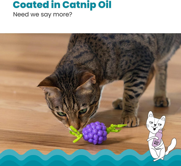 Catstages Bouncing Grape Teether Cat Toy, Soft and Textured Chew, Catnip Oil Coating4
