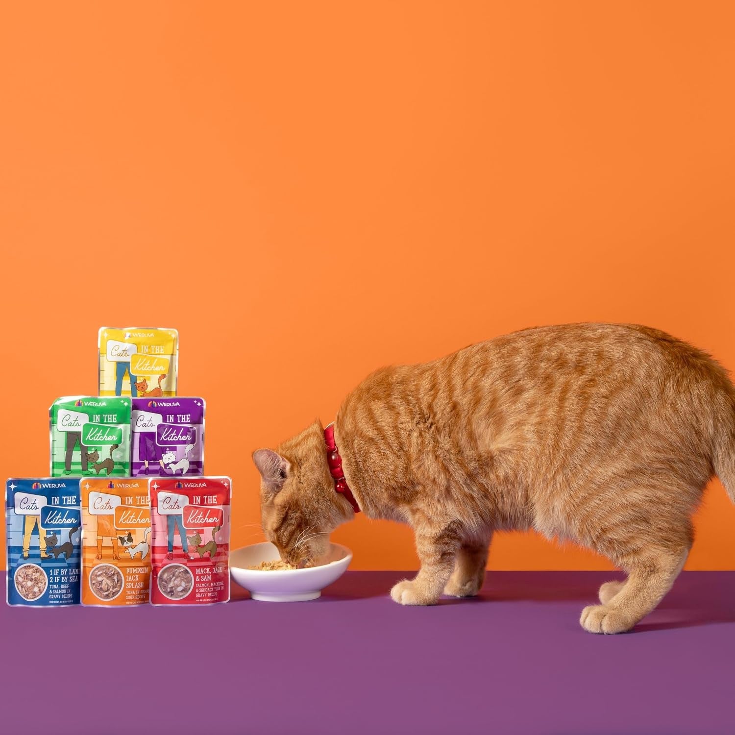 weruva-cats-in-the-kitchen-pantry-party-pouch-variety-pack-in-gravy-cat-food-3oz-pouch-pack-of-12