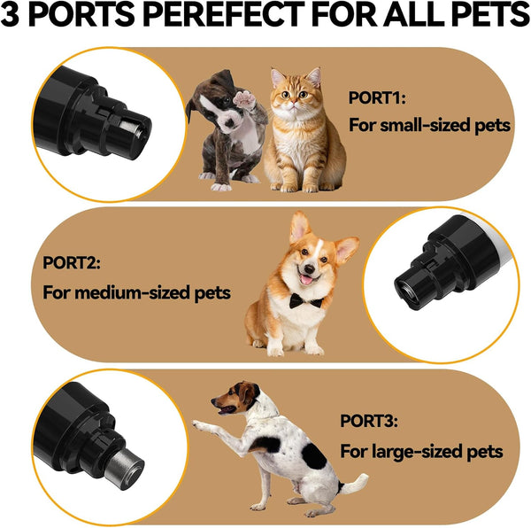 Silent Pet Nail Grinder for Dogs & Cats, 3 Grinding Heads | Professional 2-Speed Rechargeable Dog Nail Trimmer for Small/Medium Dogs & Cats, Painless Paw Grooming5