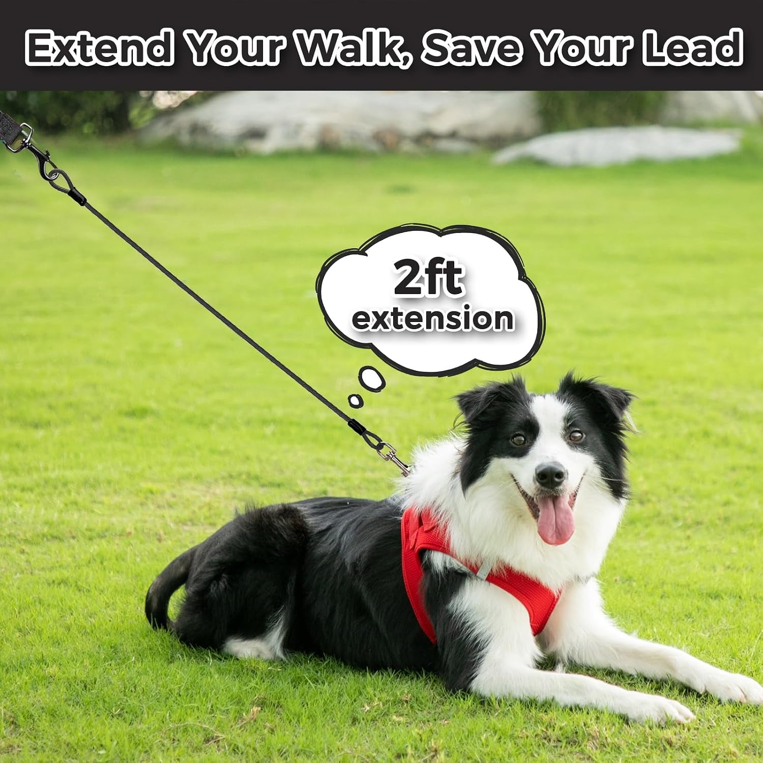 chew-proof-dog-leash-extender-2ft-5mm-metal-lead-extension-360-tangle-free-for-walking-training-puppies-fits-small-medium-large-dogs-collar-harness-compatible-black-orange-blue