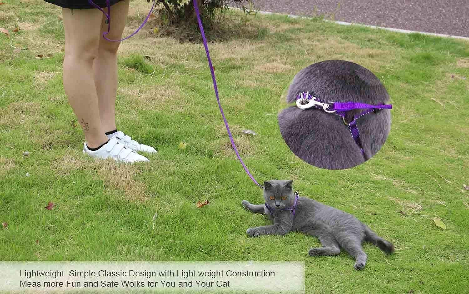 amagood-6-ft-puppy-leash-strong-traditional-style-with-easy-to-use-collar-hook-great-for-small-medium-and-large-dogs-5-8in-x-6-ft-purple