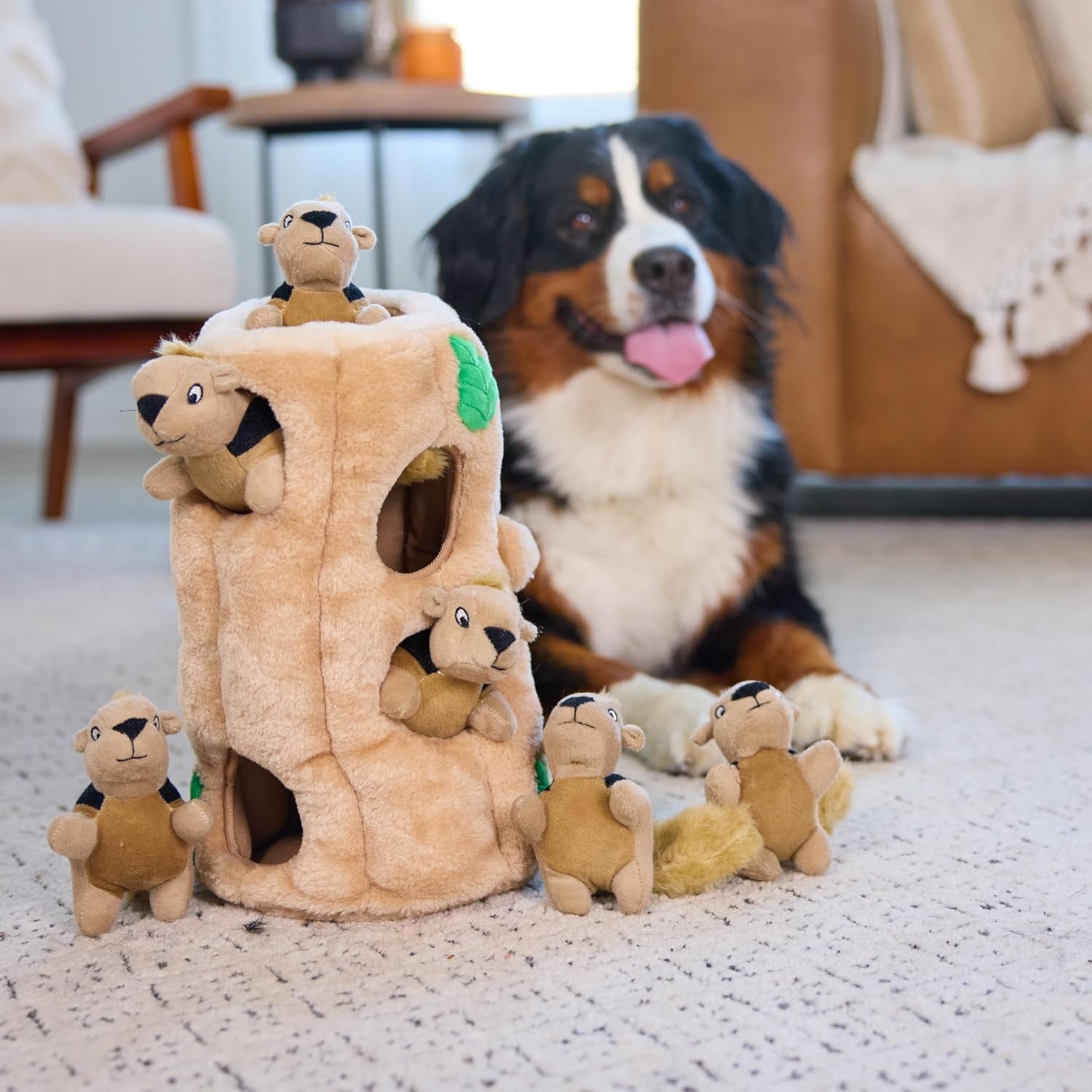 outward-hound-hide-a-squirrel-dog-toy-interactive-2-in-1-plush-puzzle-with-6-squeaky-removable-squirrels-x-large