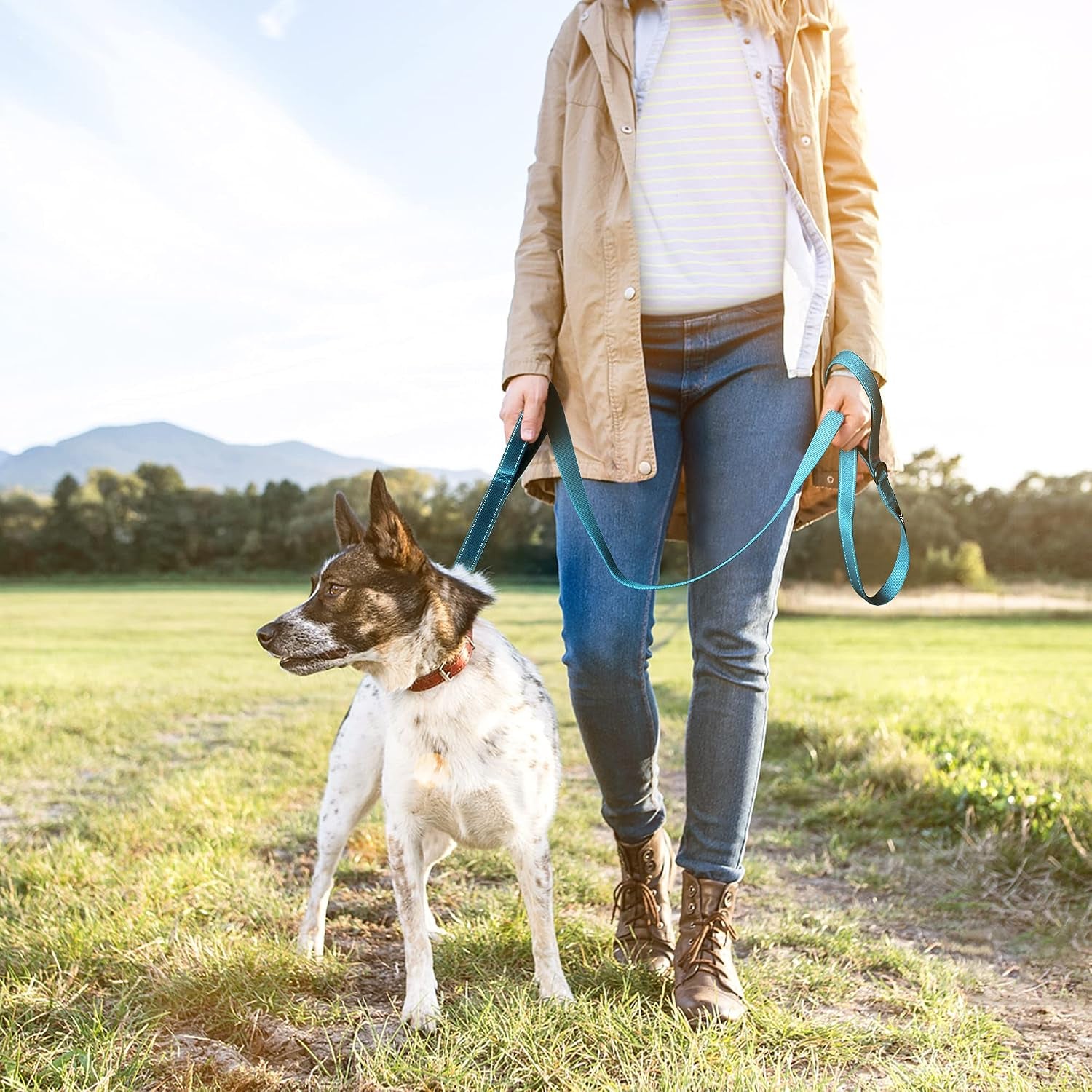 twoear-6ft-1in-strong-blue-dog-leash-with-2-padded-handles-traffic-handle-extra-control-comfortable-soft-dual-handle-auto-lock-hook-reflective-walking-lead-for-small-medium-and-large-dogs