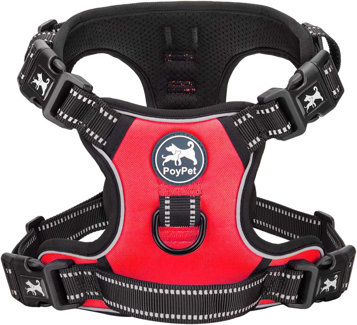poypet-no-pull-dog-harness-with-4-snap-buckles-reflective-with-front-back-2-leash-hooks-and-an-easy-control-handle-no-need-go-over-dog-s-headmint-blue-m