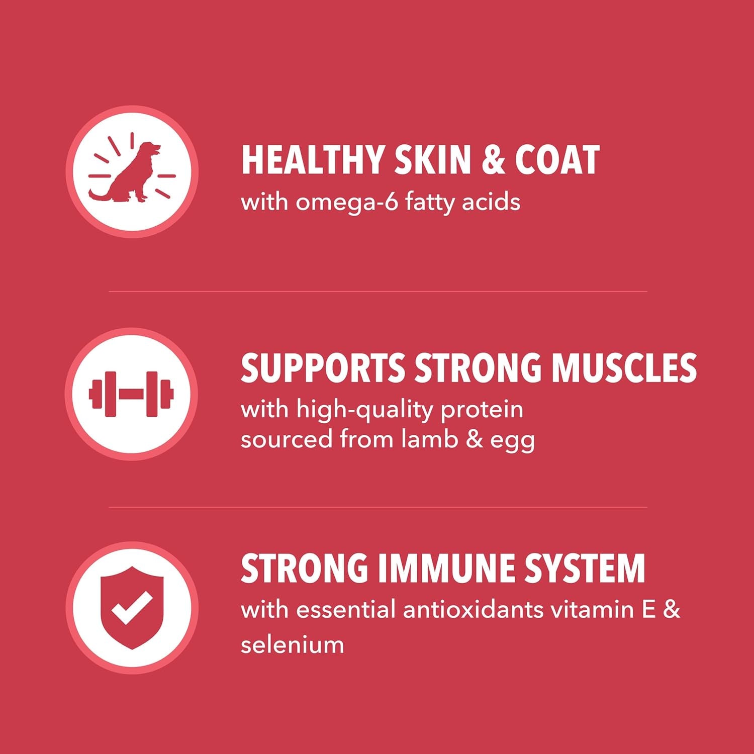 iams-proactive-health-minichunks-dry-dog-food-lamb-rice-15-lb-real-lamb-1-ingredient-omega-6-fatty-acids-for-skin-coat-natural-fiber-prebiotics-no-fillers-or-artificial-flavors