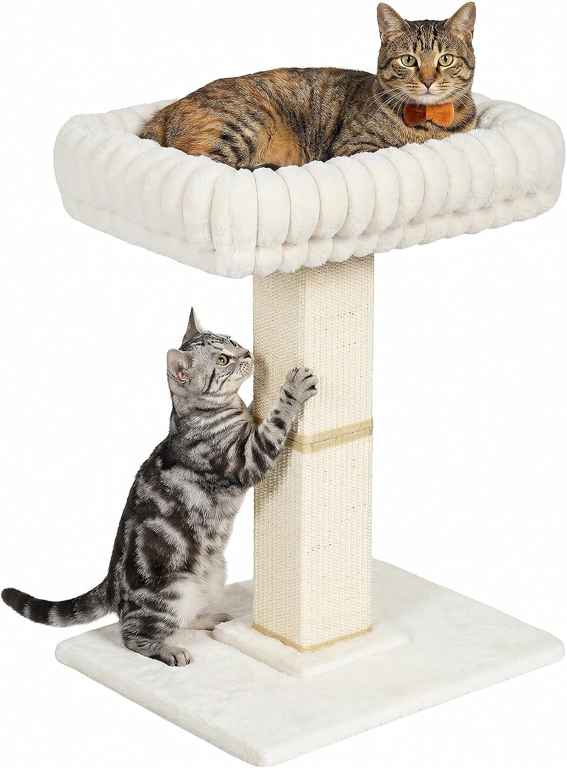 morden-cat-scratching-post-with-top-plush-bed-for-indoor-cats-removable-washable-perch-small-morden-cat-tree-cat-tower-with-scratch-post-natural-sisal-white