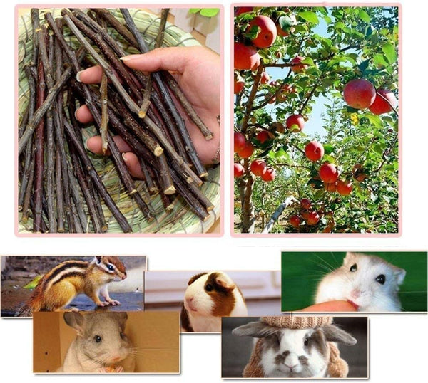 William Craft Apple Sticks Pet Chew Toy Treats for Chinchilla Guinea Pigs Rabbits Squirrel Hamster Bunny3