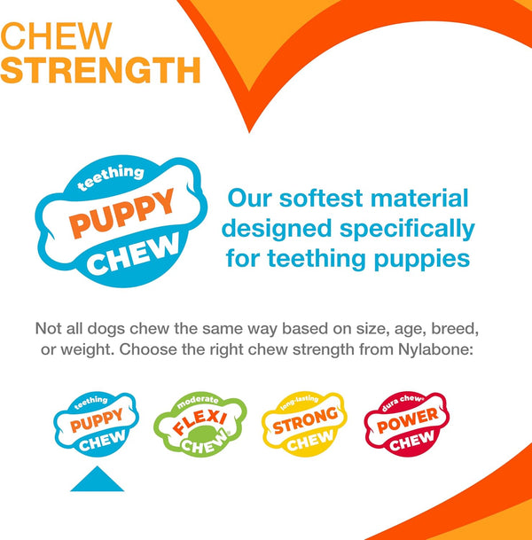 Nylabone Puppy Starter Kit, Dog Chew Toys & Chew Treat, Blue, 3 Count | Small Breeds, Chicken & Bacon Flavor, 2 Chew Toys, 1 Natural Treat, Teething Toys for Puppies, Puppy Enrichment, up to 25 Lbs5