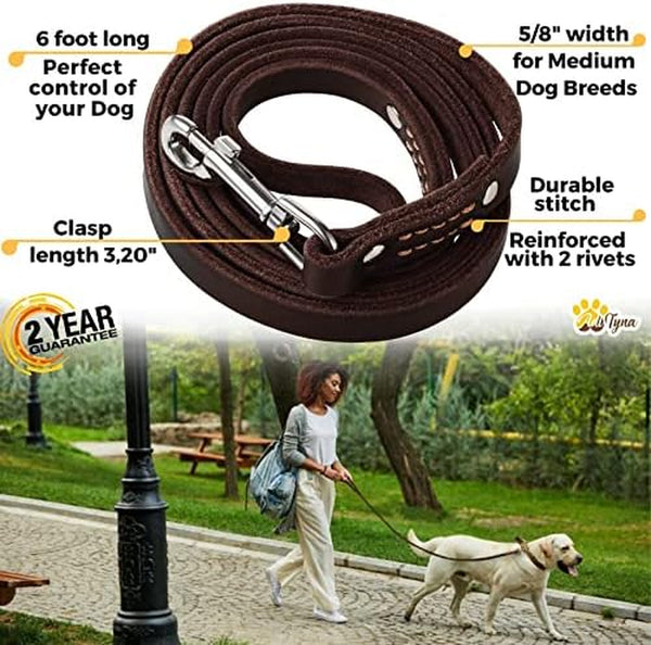 ADITYNA Leather Dog Leash for Small & Medium Dogs, 6Ft X 5/8" | Soft yet Strong Leather Leash for Walking, Training, Hiking — Great for Shih Tzu, Poodle, French Bulldog, Corgi.3