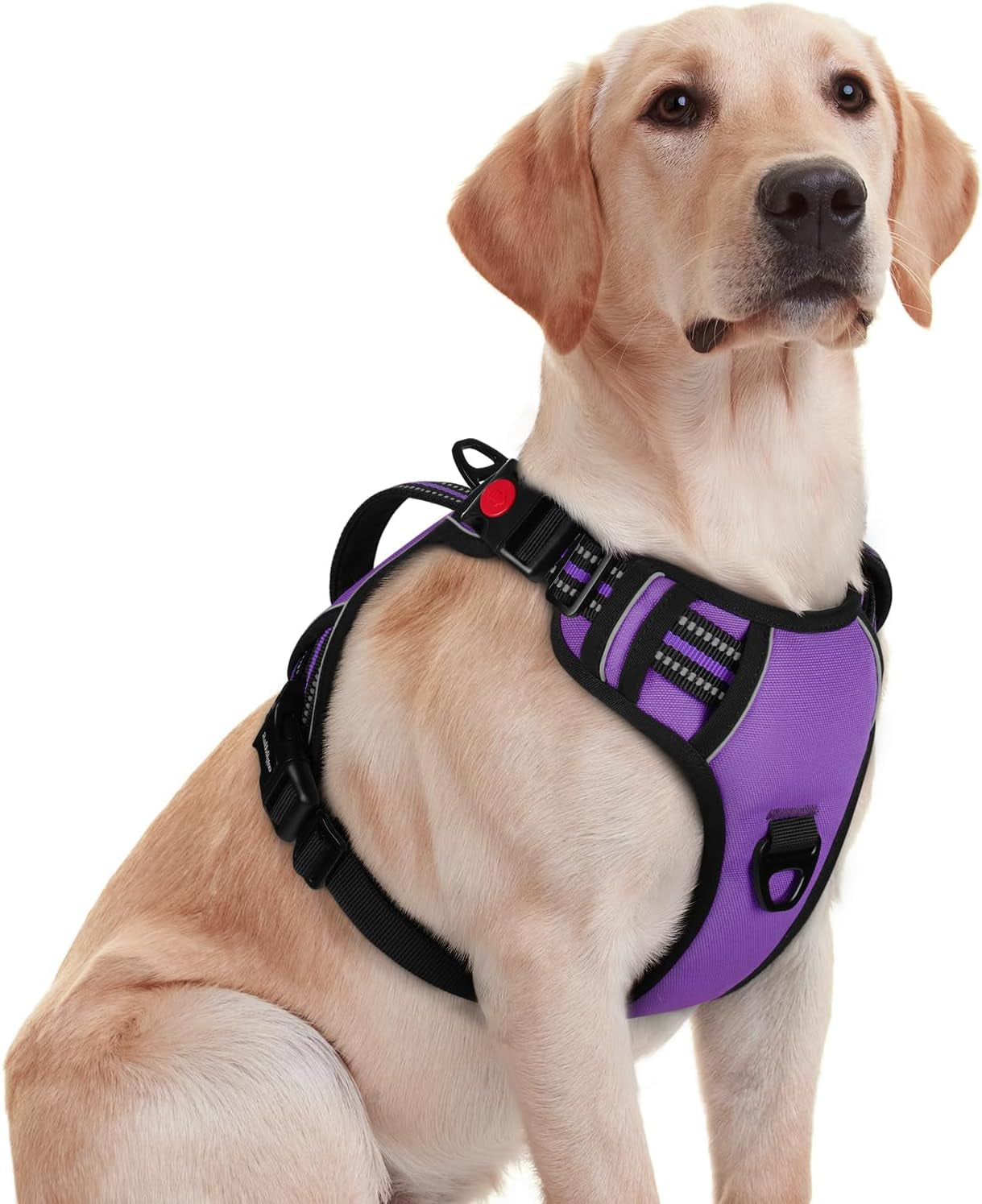 rabbitgoo-large-dog-harness-easy-wear-with-3-buckles-and-lift-handle-no-pull-with-front-clip-for-walking-adjustable-soft-padded-reflective-easy-control-pink-large