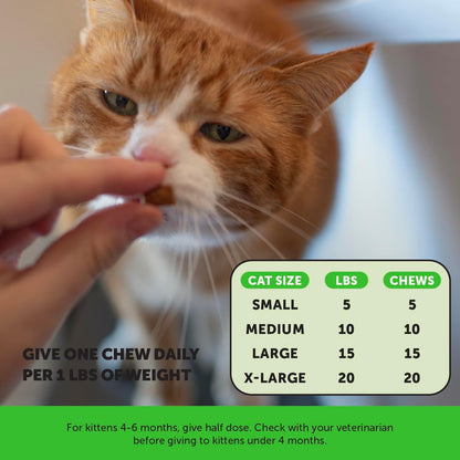 Cat Probiotics Crunchy Creamy Chews for Digestive Health - Cat Constipation + Occasional Diarrhea Relief - Daily Probiotics for Cats with Prebiotics Fiber Gut Flora Sensitive Stomach (30-Day Supply)6