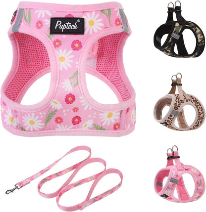 PUPTECK Dog Harness and Leash Set for Small Medium Dogs No Pull Step-In Soft Mesh Puppy Cat Vest Harnesses Reflective at Night, Green S47