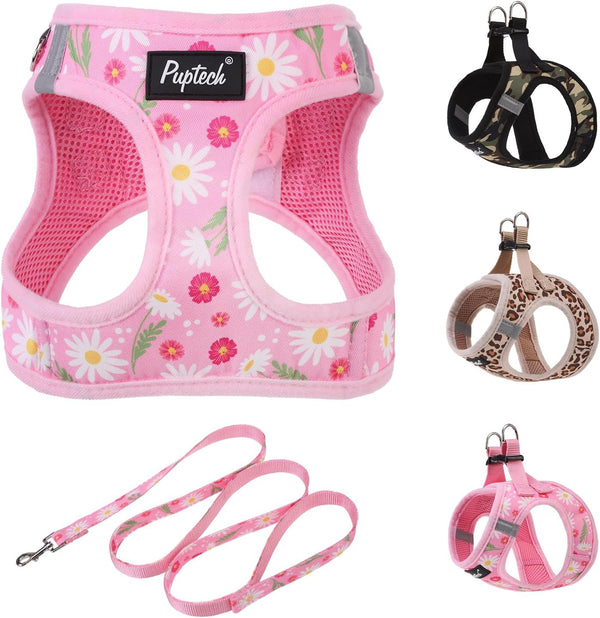 PUPTECK Dog Harness and Leash Set for Small Medium Dogs No Pull Step-In Soft Mesh Puppy Cat Vest Harnesses Reflective at Night, Green S47