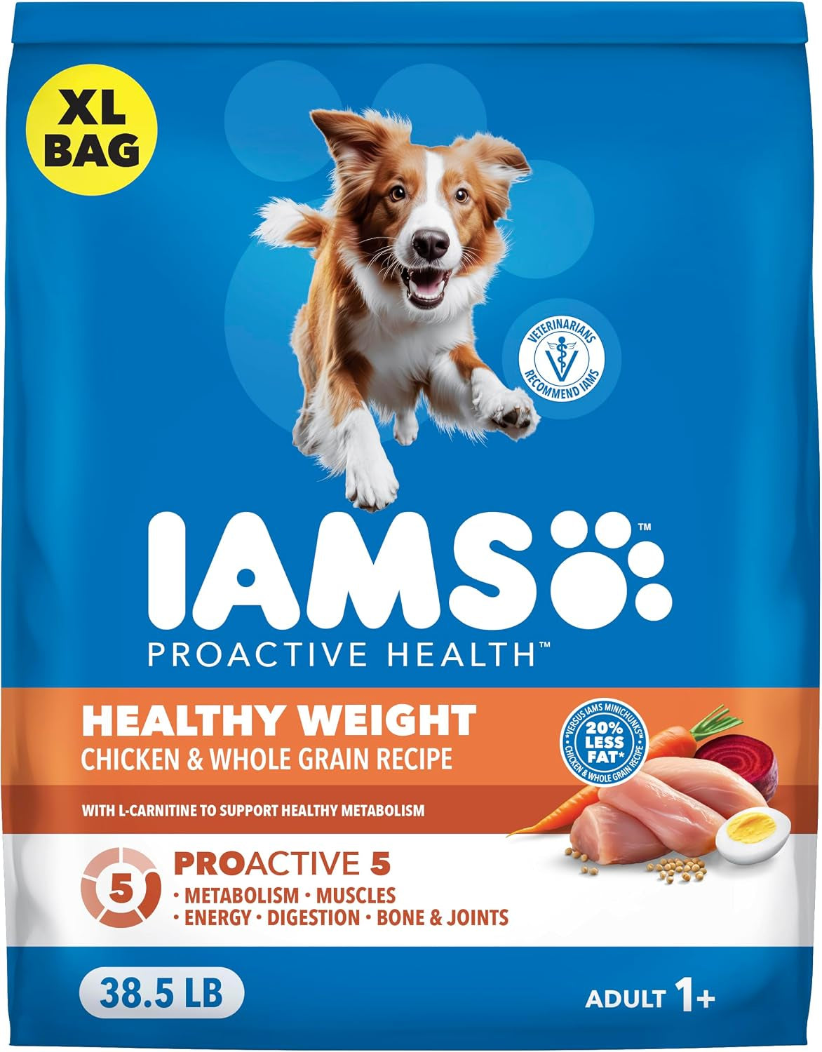 iams-proactive-health-healthy-weight-dry-dog-food-chicken-29-1-lb-real-chicken-1-ingredient-l-carnitine-for-metabolism-strong-muscles-no-fillers-or-artificial-flavors-vet-recommended