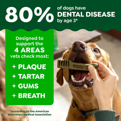 Greenies Teenie Original Natural Dental Dog Treats, Chicken, 43 Count | Clinically-Proven, Veterinarian-Recommended, 47% Less Tartar & 40% Less Plaque in 28 Days, for Dogs 5-15 Lbs, 12 Oz. Pack4